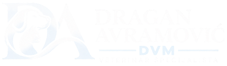 Dragan Avramović, DVM